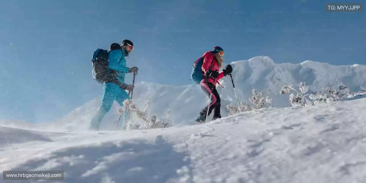 🎮 从装备到收藏,一站式满足你的体育情怀!