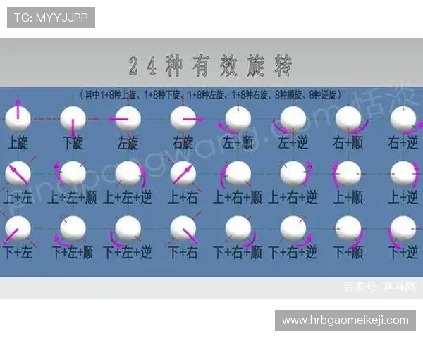 从零基础到高手之路乒乓球全面提升技巧与策略指南 从零基础到高手之路乒乓球全面提升技巧与策略指南