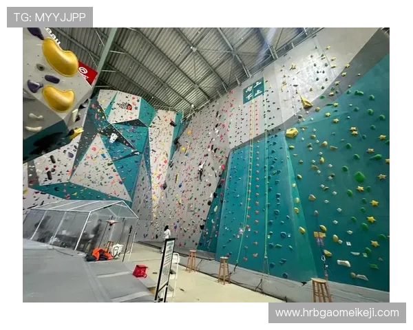 上海攀岩队在世界滑板锦标赛中以91分稳居积分榜首位 上海攀岩队在世界滑板锦标赛中以91分稳居积分榜首位