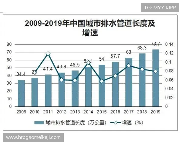 北京羽毛球队状态深度对比及未来发展趋势分析
