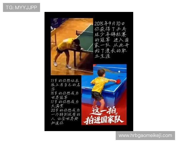 对话羽毛球名将张磊探索他的职业生涯与心路历程