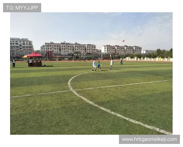 广州飞盘队团队协作能力提升创造历史新高排名引发广泛关注