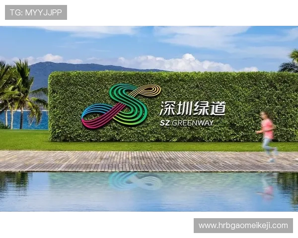 武汉网球队区域防守创新之路探索与实践分析 武汉网球队区域防守创新之路探索与实践分析