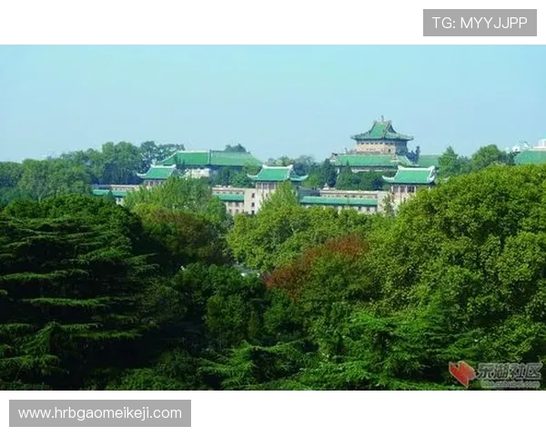 武汉篮球队在亚运会上的崛起与奋斗历程全景回顾 武汉篮球队在亚运会上的崛起与奋斗历程全景回顾