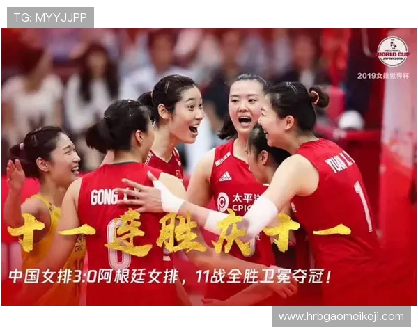 深圳排球队的奋斗历程与精英赛背后的故事揭秘