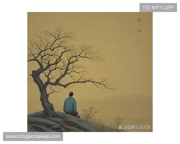 赵敏的攀岩人生：在高峰之上与自我的深度对话与探索