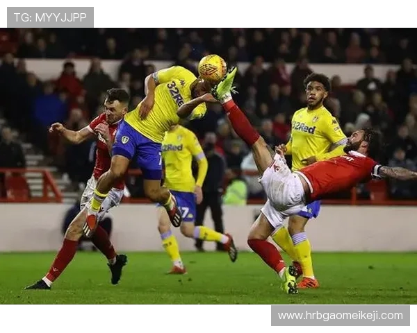 桑德兰与查尔顿的精彩对决结果揭晓比分是多少