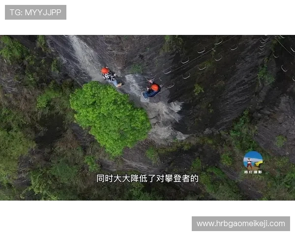 重庆极限运动队与广州极限运动队赛后分析实力对比与发展潜力探讨