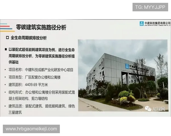 杭州街舞队运营模式创新探索与发展路径分析