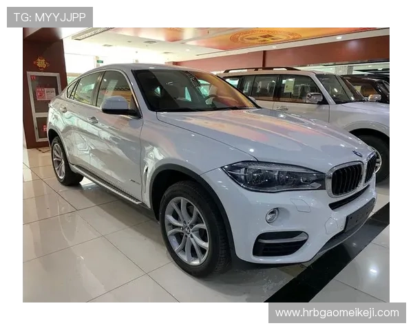 深度对话王军篮球人生的起伏与梦想追逐之路