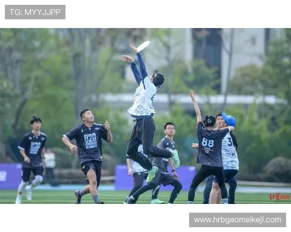 飞盘热潮席卷南京聚焦南京飞盘队的训练与比赛节奏