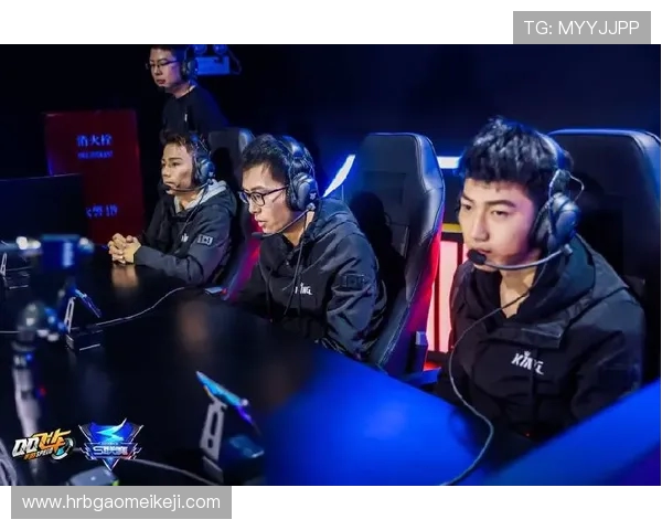 EDG在精英赛中的节奏掌控与团队协作分析