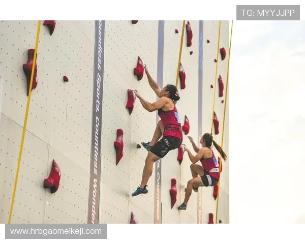 南京攀岩队与广州攀岩队实力对比赛后分析与总结