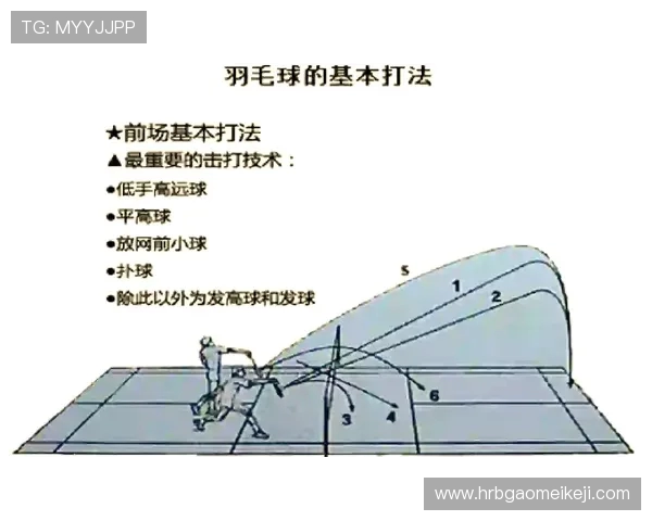 广州羽毛球队的节奏与技巧分析：探索羽毛球运动的魅力与发展