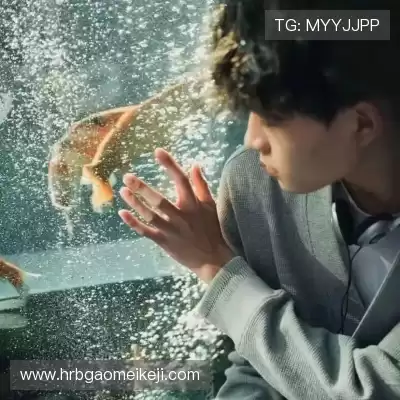 窦芸昀